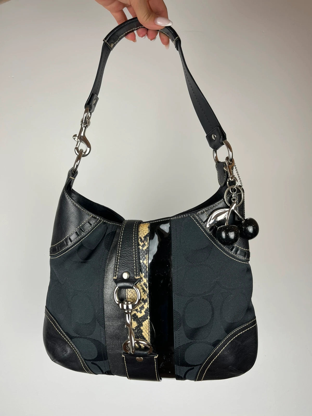 Coach Hamptons Signature Python Stripe Hobo Bag 10260