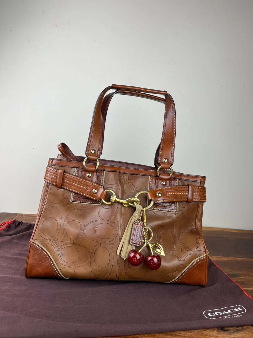 Coach Hamptons Embossed Signature Leather Satchel 10227 With Dust Bag
