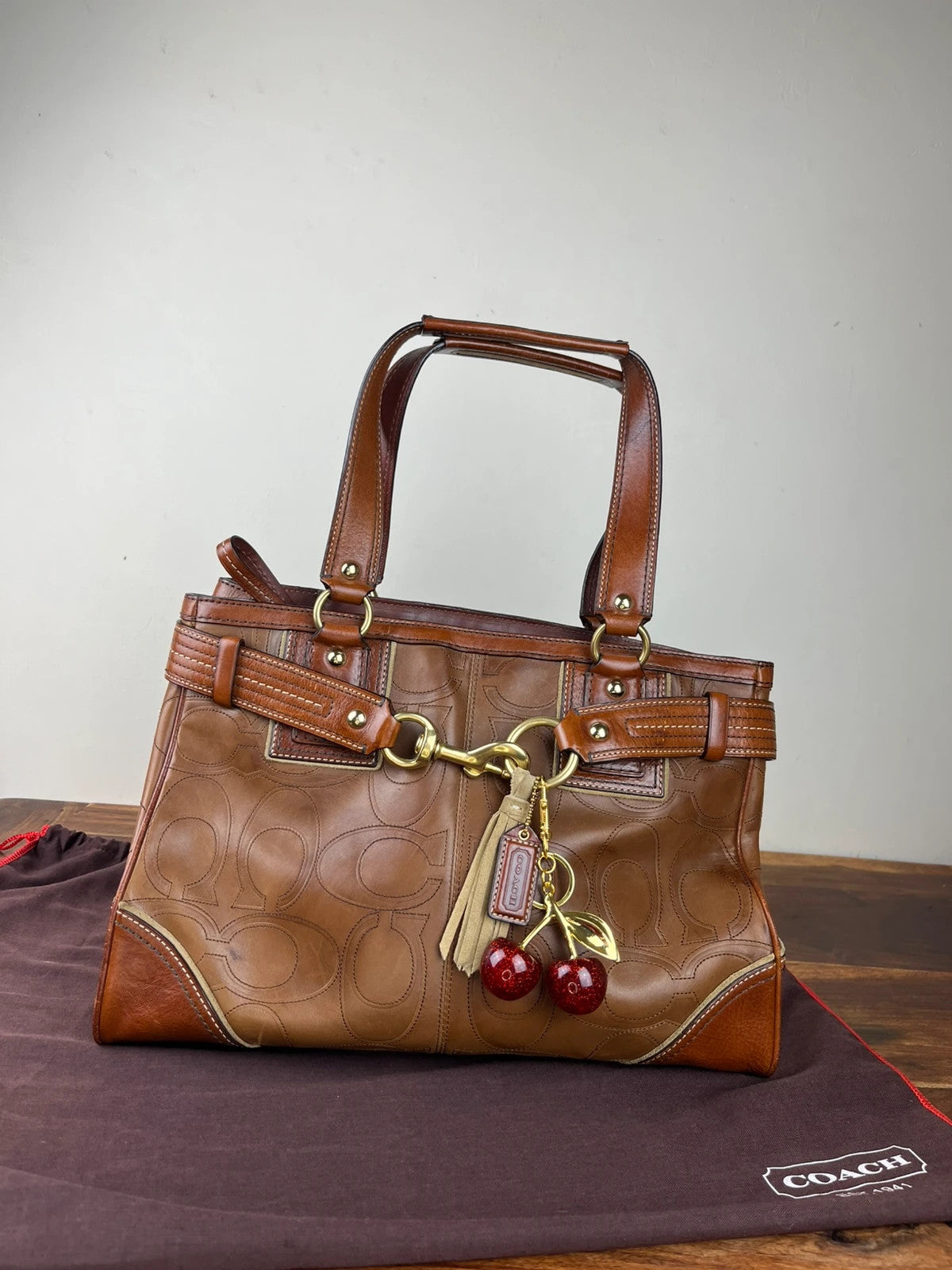 Coach Hamptons Embossed Signature Leather Satchel 10227 With Dust Bag