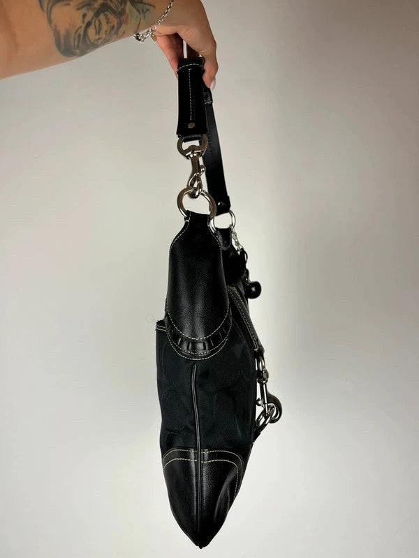 Coach Hamptons Signature Python Stripe Hobo Bag 10260