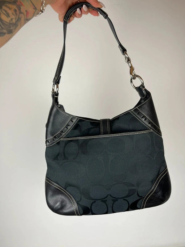 Coach Hamptons Signature Python Stripe Hobo Bag 10260